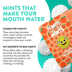Flintt Mints