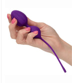 Kegel Training Set