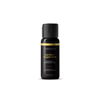 Wicked Sensual Massage Oil