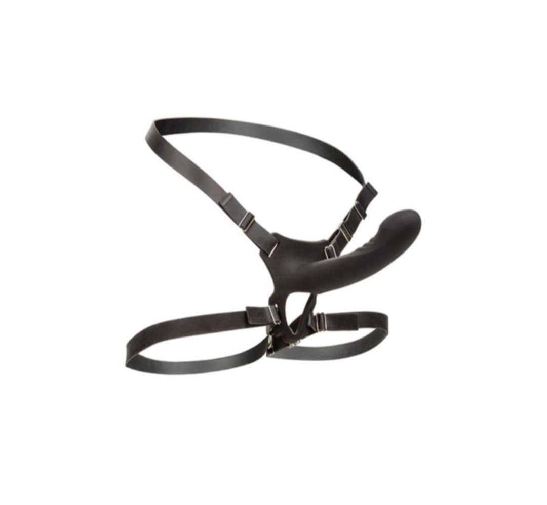 Boundless with Harness