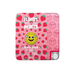 Flintt Mints